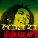 Bob Marley - Not Dubbing In Vain Mixed By The Scientist