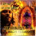 02   RIBBIT IT TI NOW   IyahKimo I & High Elements