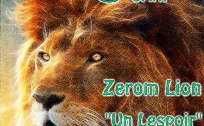 Un lespoir mix   Zerom Lion & High Elements