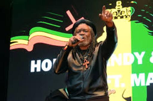  True Love Shines Bright - Horace Andy Mixed By The Scientist 