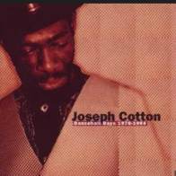 JOSEPH COTTON FOOD FOR TAUTH Mixed By The Scientist 